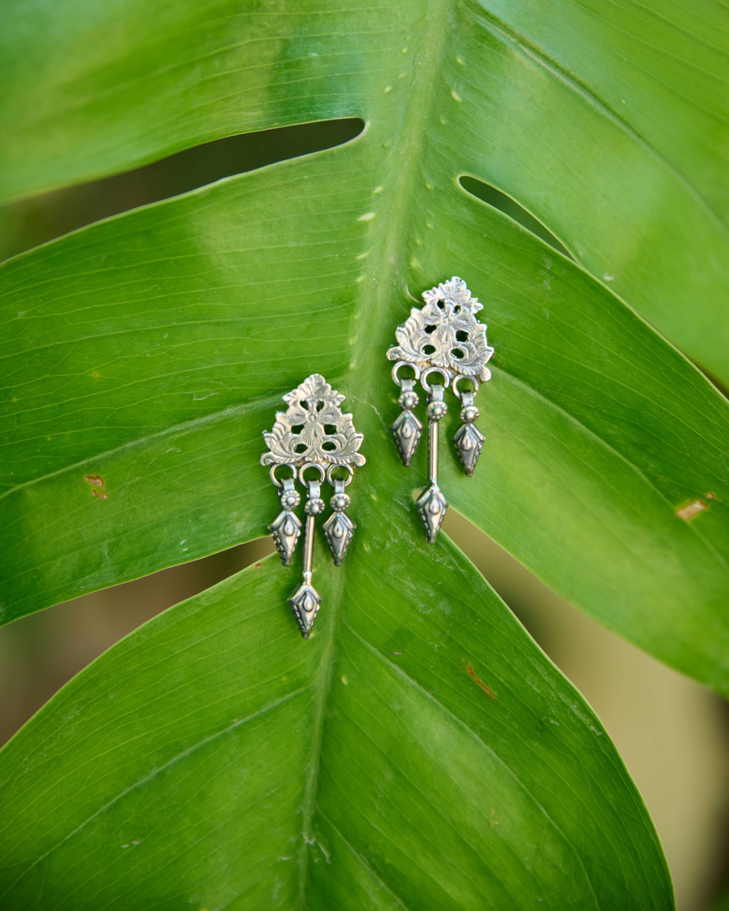 Mrunmayi Silver Earrings #3