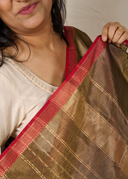 Women wearing a maheshwari tissue saree in dual tone of black and gold showcasing the ornate border of the saree.